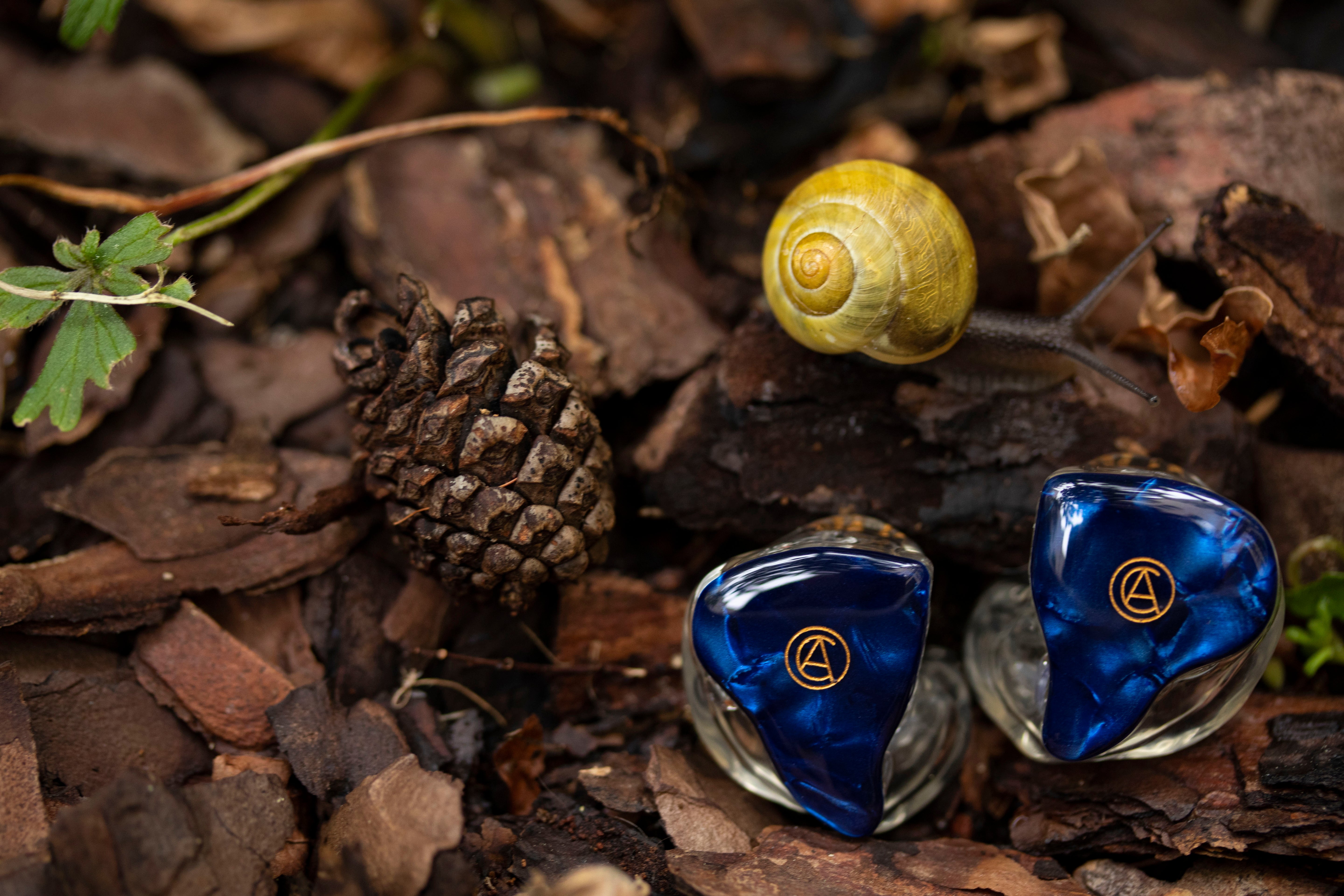 Custom Art studio ready custom monitor