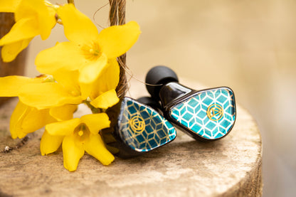 Custom Art multi driver custom IEM